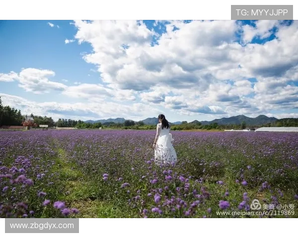 《爱的迷迭香》:不止一场浪漫,更是一场治愈心灵的芬芳之旅 《爱的迷迭香》:不止一场浪漫,更是一场治愈心灵的芬芳之旅