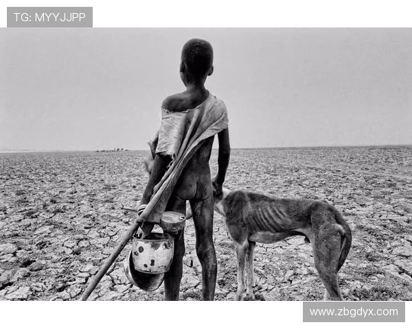 弗拉·亚伯拉罕：光影交织的叙事大师，用镜头描绘人性深度