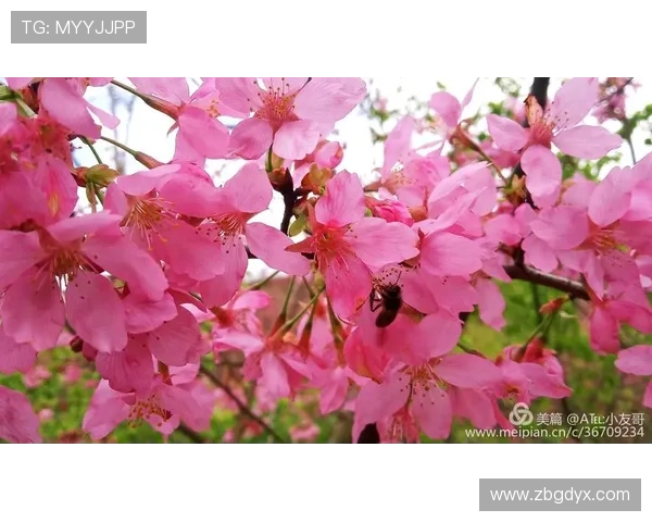 媳妇的美好春天：那些闪闪发光的小确幸