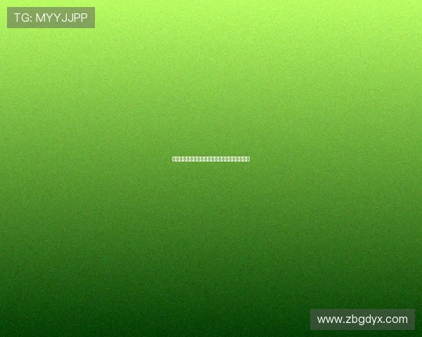 探寻光影的艺术：重温经典，连接情感的独特纽带